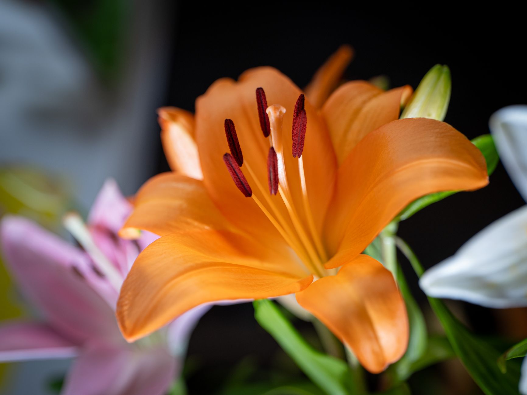 Livraison fleurs à Issy-les-Moulineaux